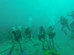 Hawaii Scuba divng 42