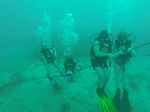 Hawaii Scuba divng 43