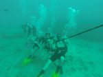 Hawaii Scuba divng 46