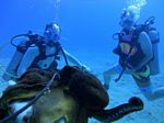 Hawaii Scuba 26