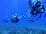 Hawaii Scuba 78