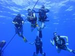 Hawaii Scuba 82