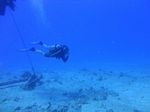 Oahu Scuba 10