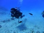 Oahu Scuba 12