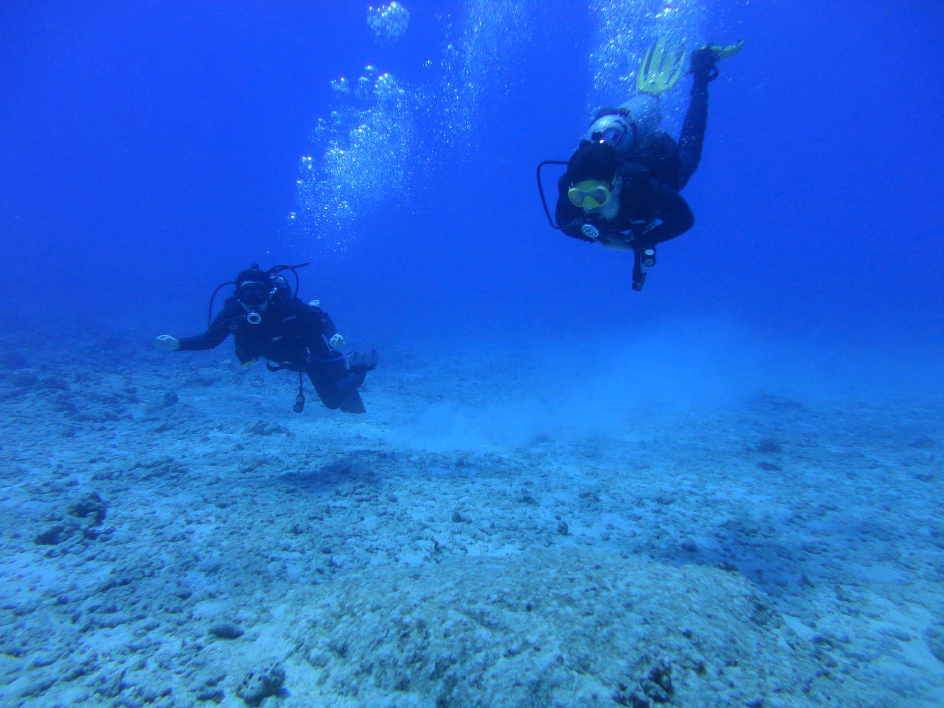 Oahu Scuba - 03-03-2019