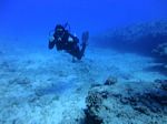 Oahu Scuba 04