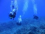 Oahu Scuba 53