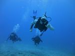 Hawaii Scuba divng 10