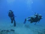 Hawaii Scuba divng 13