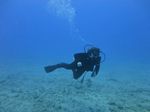 Hawaii Scuba divng 14