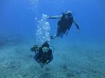 Hawaii Scuba divng 15