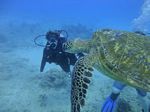 Hawaii Scuba divng 21