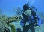 Hawaii Scuba divng 25