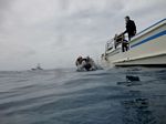 Hawaii Scuba divng 02