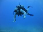 Hawaii Scuba divng 37