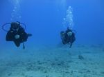 Hawaii Scuba divng 38