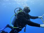 Hawaii Scuba divng 11