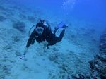 Hawaii Scuba divng 12