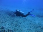 Hawaii Scuba divng 13