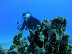 Hawaii Scuba divng 17