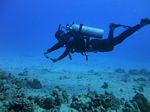 Hawaii Scuba divng 18