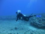 Hawaii Scuba divng 19