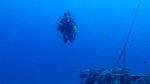 Hawaii Scuba divng 22