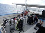 Hawaii Scuba divng 02