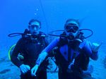 Hawaii Scuba divng 10