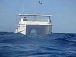 Hawaii Scuba divng 01