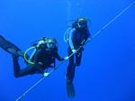 Hawaii Scuba divng 24