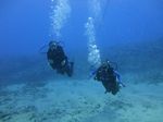 Hawaii Scuba divng 29