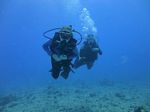 Hawaii Scuba divng 31