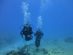 Hawaii Scuba divng 32