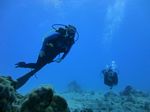 Hawaii Scuba divng 33