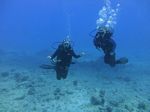 Hawaii Scuba divng 34