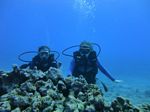 Hawaii Scuba divng 36