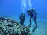 Hawaii Scuba divng 37