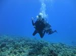 Hawaii Scuba divng 38