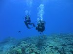 Hawaii Scuba divng 40