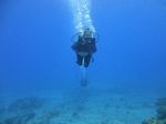 Hawaii Scuba divng 44