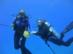 Hawaii Scuba divng 47