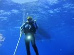 Hawaii Scuba divng 06