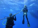 Hawaii Scuba divng 07