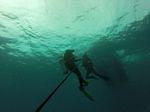 Hawaii Scuba divng 04