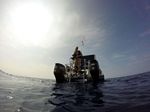 Hawaii Scuba divng 10