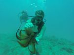 Hawaii Scuba divng 12