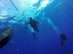 Hawaii Scuba divng 14