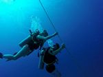 Hawaii Scuba divng 15