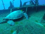 Hawaii Scuba divng 16